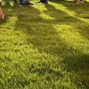 아르떼 (arte) 이미지