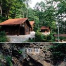 동아오토 이미지