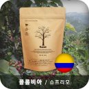프라넬 쇼핑하우