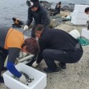 수산목장 이미지