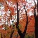 홍계마을 이미지