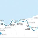 조천체육관 체육관 이미지