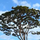 함평자연생태공원 이미지