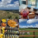 진아목장 이미지