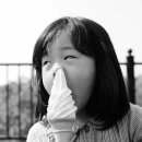 한소루
