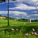 대호단양CC(대중제) 이미지