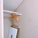 수줍은 언니네 이미지