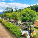 (주)펫노블레스 이미지