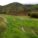 순천승마장 이미지