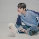 따따