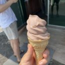 럭키피시 이미지