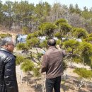 병선농장 이미지