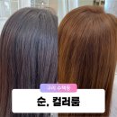 순헤어샵 이미지
