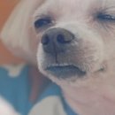 연희네분식