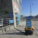 세종 앵무새카페 버드소리 후기｜겨울방학 초등 저학년 아이와 가볼만한 곳