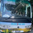 큰섬 | 와이헤케섬 와이너리 투어 후기 케이블베이, 스토니릿지, 머드브릭 빈야드