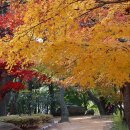 금강공원3 이미지