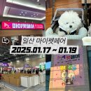 일산 2025 마이펫페어 올해 첫 펫페어 후기