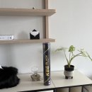 배드민턴 셔틀콕 가성비 좋은 KBB BLACK 케이비비 블랙 추천
