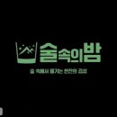 술속의밤