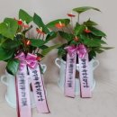 참사랑화원