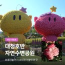 공원 | 대청호 장미전시회 | 대전 장미축제 대청호반자연수변공원 후기