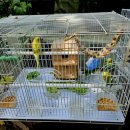 시골집얼큰이해장국 이미지