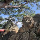 38야영장 이미지