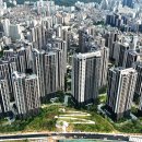 강남-215 매일경제