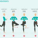 트로이짐 이미지