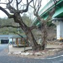 괴곡경로당 이미지