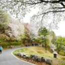 망우리공원 이미지