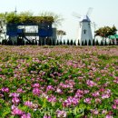 무지갯빛 이미지