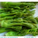 박근재농장 이미지