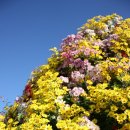 거창-신원-6 이미지