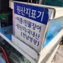성문민물