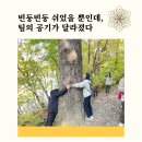 인제18-2 | 강원도 인제 생태탐방 1박2일 힐링워크숍 후기｜소그룹 기업 워크숍·ESG·마음챙김 여행