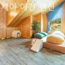 에스엔제이 이미지