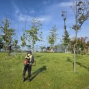 내포환경 이미지