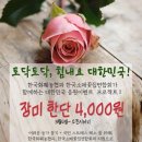 꽃사로움