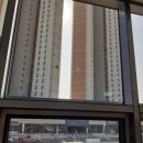 용인대 덕양 태권도장 이미지