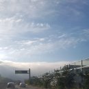 쁘띠샤방 이미지