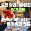 살롱드 비아 | 서울 딸기뷔페 2026 딸기뷔페추천 딸기 뷔페 호텔 JW메리어트 동대문 딸기페 팬톤 롯데호텔 딸기뷔페...