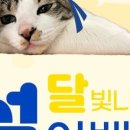 얼라이브스튜디오 이미지