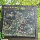 뿌리근 | 구좌에서 서귀포로의 여행코스 1탄(비자림/ 성게국수/ 동화마을/ 서귀포야시장)