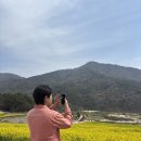 남해-142 | [일상로그]린다이어트 내돈내산, 남해두모마을 유채꽃, 레브드남해, 진주 신혼집 리모델링 내돈내산