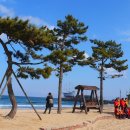 바다부채길2 이미지