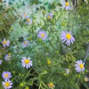 산천토담집 이미지