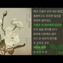 디지털싱글 찔레꽃 이미지