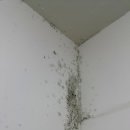 힐스테이트푸르지오아파트 이미지